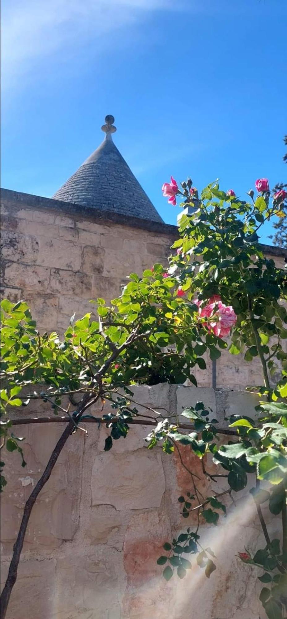 Il Trullo Delle Rose, Monopoli By Il Pumo Di Puglia Βίλα Cozzana Εξωτερικό φωτογραφία
